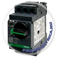 GV2P08 АВТ ВЫКЛ С КОМБ РАСЦЕП 2,5-4А Schneider Electric