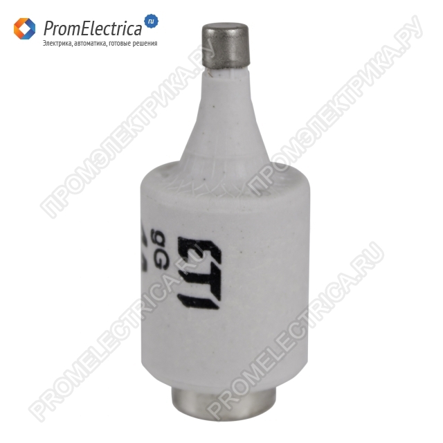 002312437 DII BiWtz(gG) 6A PL D
