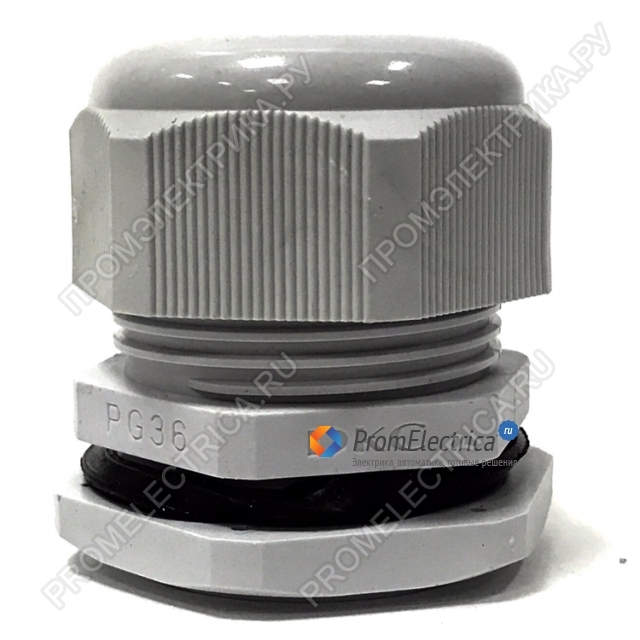 Купить PG36 Зажим кабельный с контргайкой, IP68, диаметр 20 - 31 мм DKC .